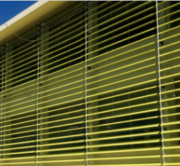 Download de catálogo